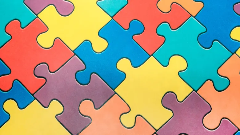 The Corporate Diversity Jigsaw