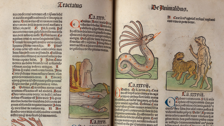 Opening showing partial double page of Hortus Sanitatis, 1491