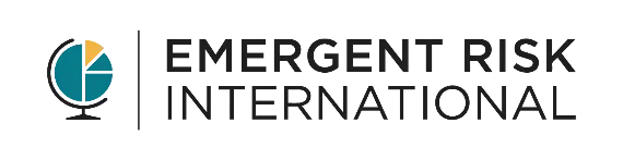 Emergent Risk International Logo