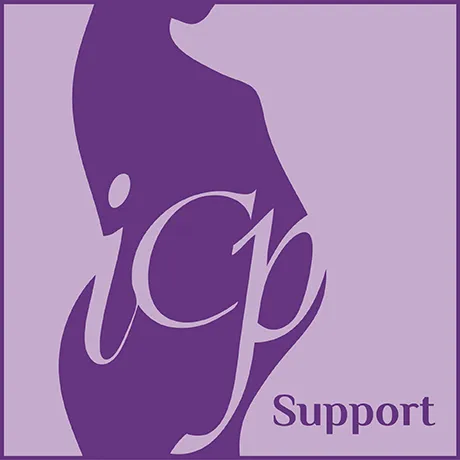 ICP Support