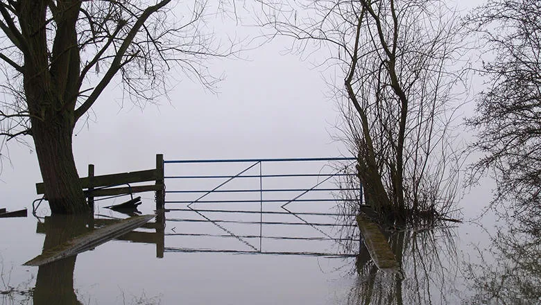 780x440_flood_countryside