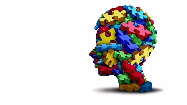 Autism puzzle head - main