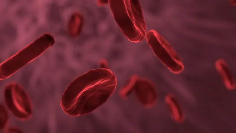 Blood cells