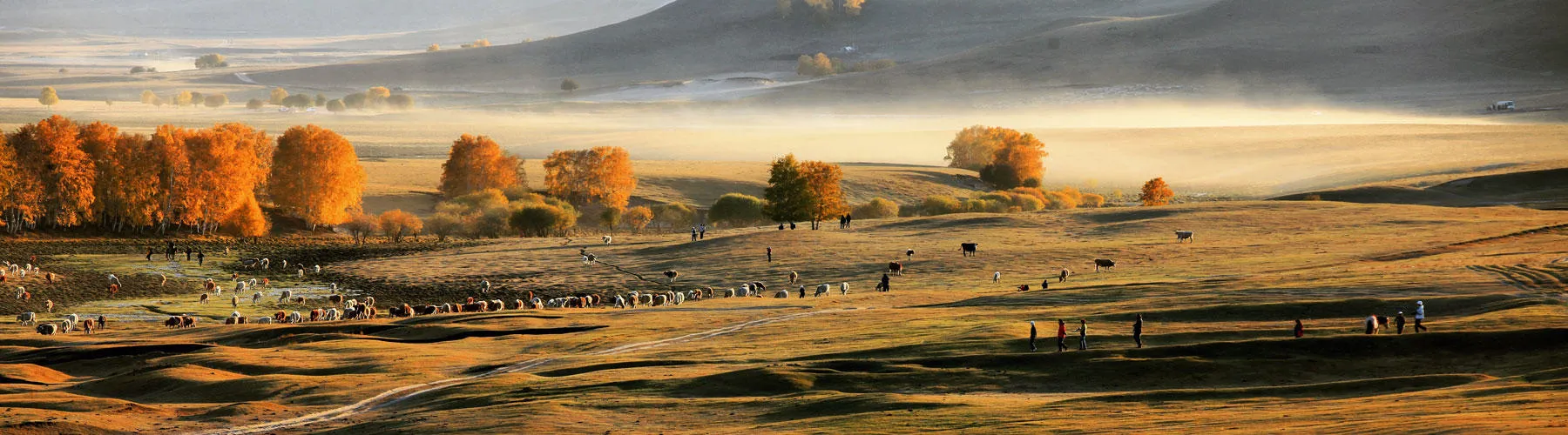 Golden fields with cattle wandering, and autumnal trees at the foot of sloping mountains