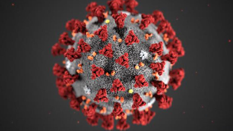 An illustration of the coronavirus by the US CDC