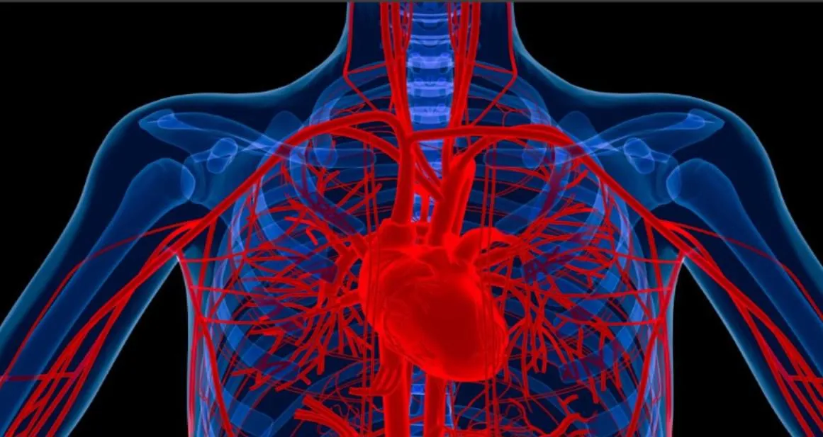 heart 2