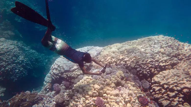 Free diving photographer in front of a coral reef