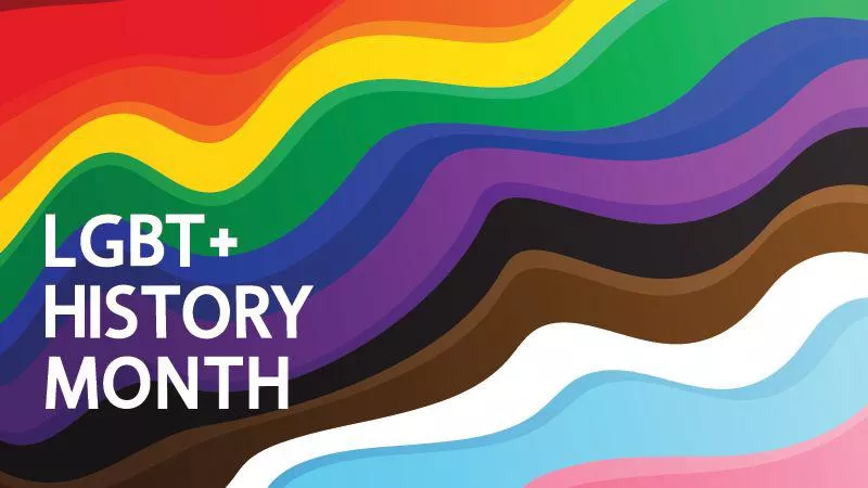 Image is of pride flag colours in rows going diagonally, text in bottom right corner says: LGBT+ History Month
