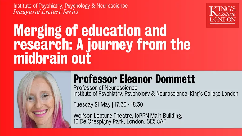 Merging of education and research A journey from the midbrain out