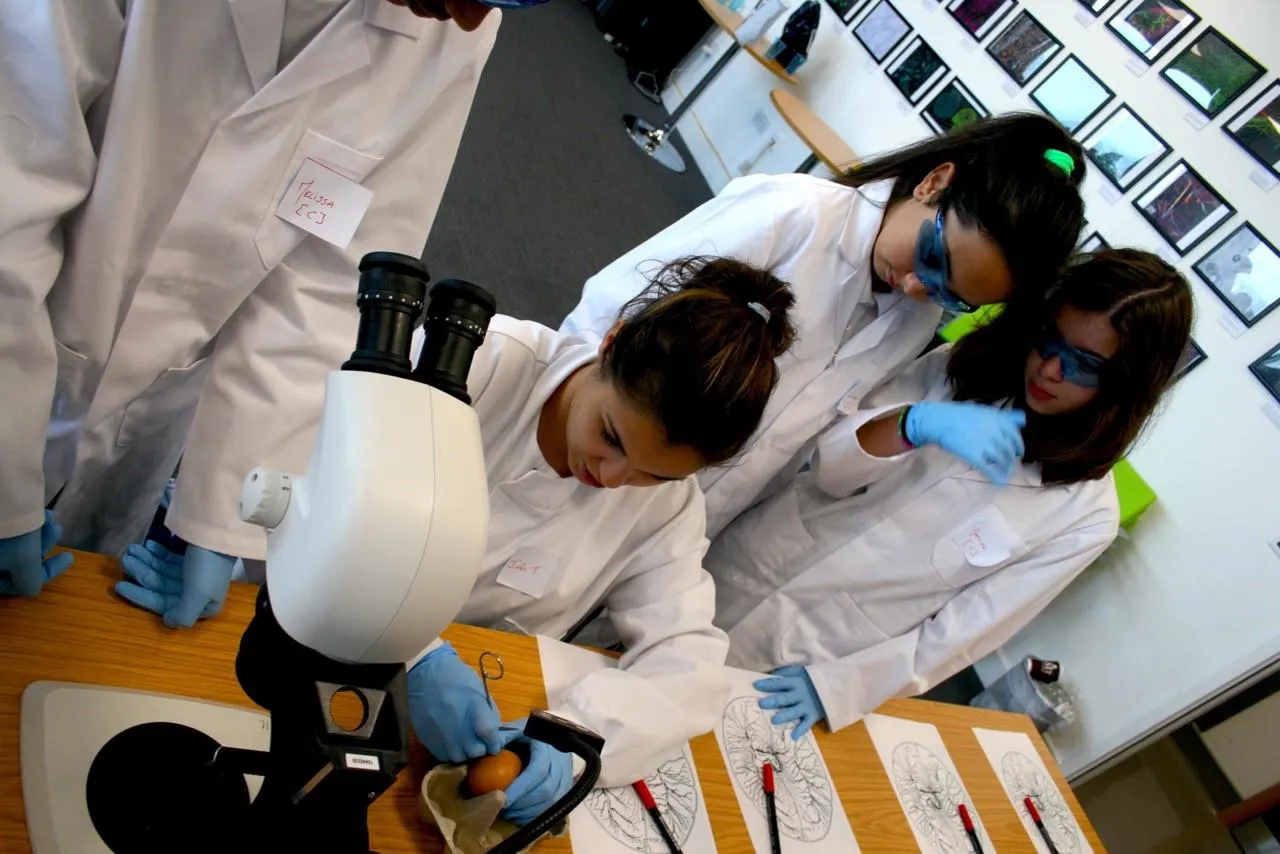 students being introduced to embryology by observing a chicken embryo under a microscope and identifying developing structures