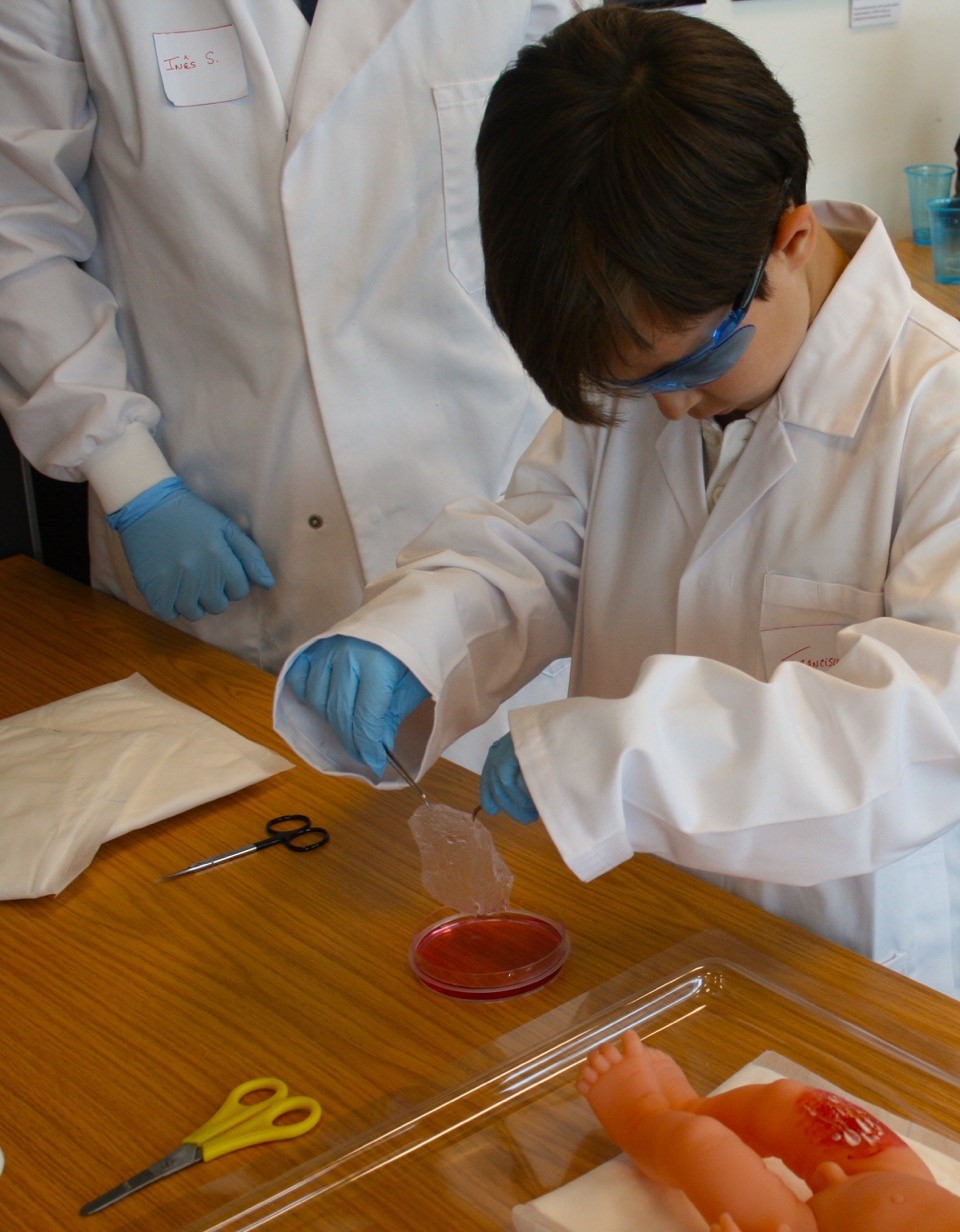 students learning about the potential uses of stem cells in regenerative medicine. In this case, using skin grown from stem cells to graft onto a patient with a burn