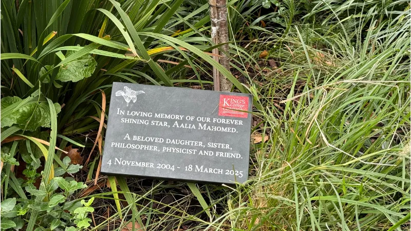 Plaque for Aalia