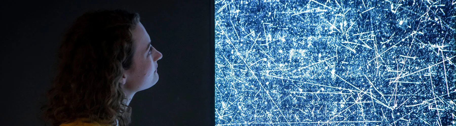 A woman looks at an artwork, with many lines of white light on a dark background representing matter and antimatter