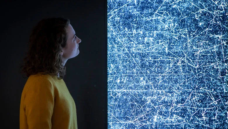 A woman looks at an artwork, with many lines of white light on a dark background representing matter and antimatter