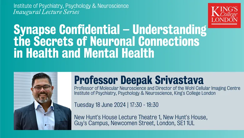 Synapse Confidential – Understanding the Secrets of Neuronal Connections in Health and Mental Health (2)