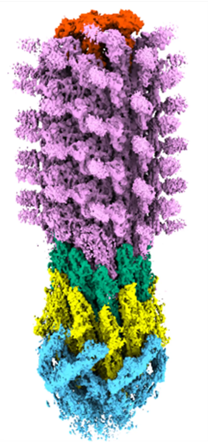 Multicoloured computer image of a molecule