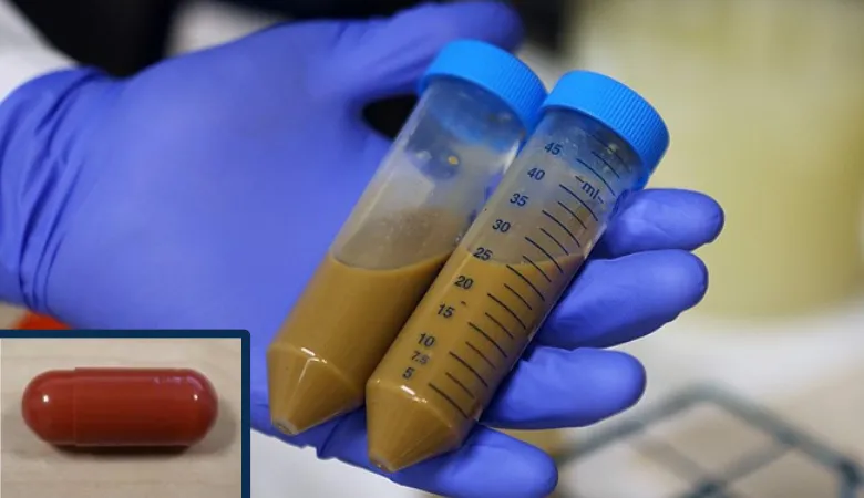 FMT capsules