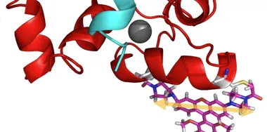 Chem bio image