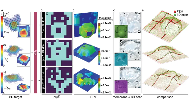 Anto Forte folding image 4