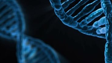 Institute For Mathematical & Molecular Biomedicine