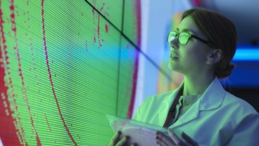 Research themes