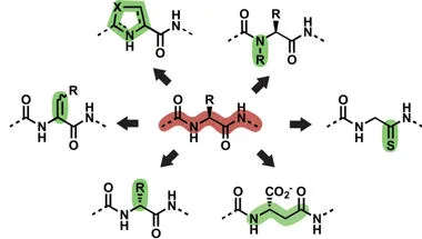 Molecular diagram of protein backbones