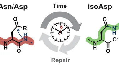 Diagram showing molecular ageing between molecules