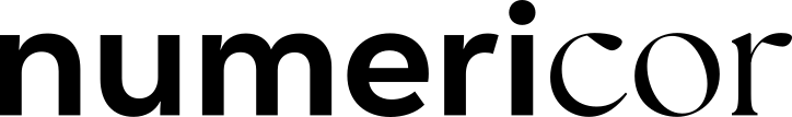 numericor-cardiac-modeling-and-simulation