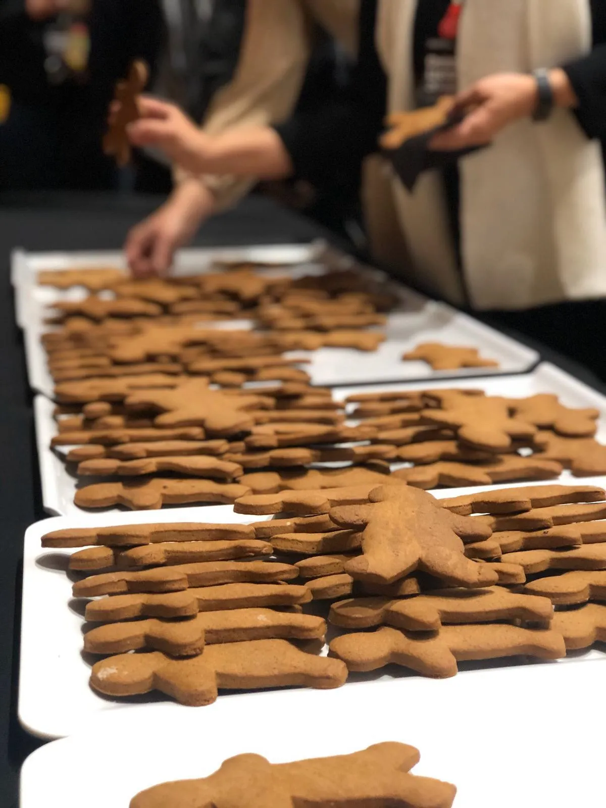 Christmas lecture 2019 gingerbread cookie