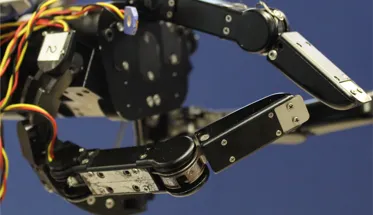 Robotic hand