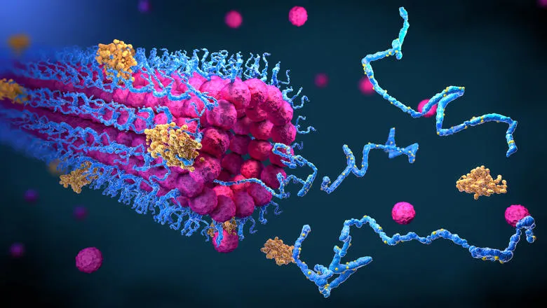 protein-folding