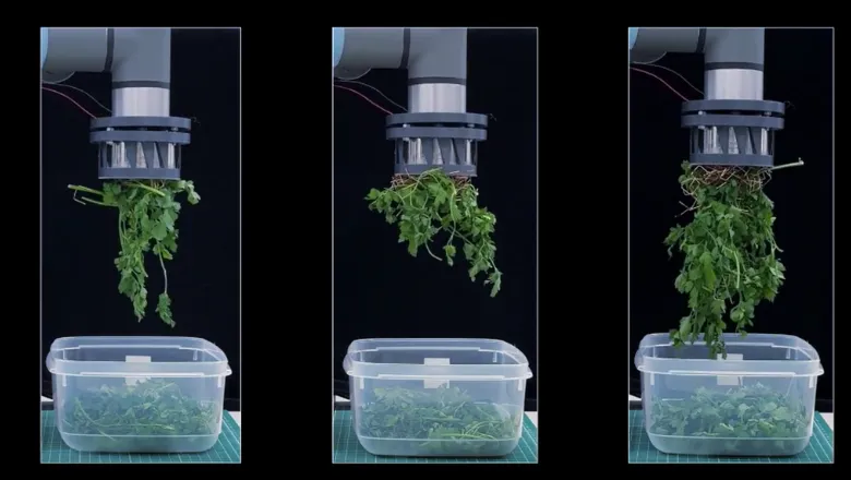 Weird Gripper parsley gripping