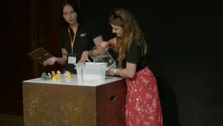 Water and rubber ducks