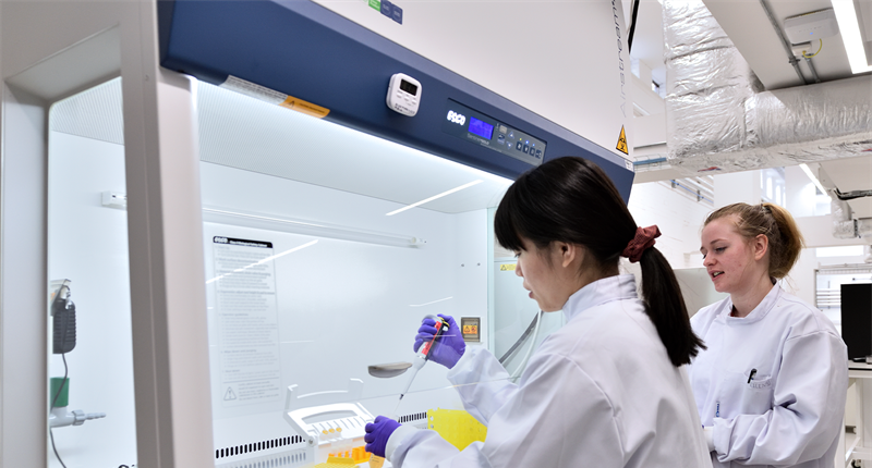 postgraduate engineering students lab
