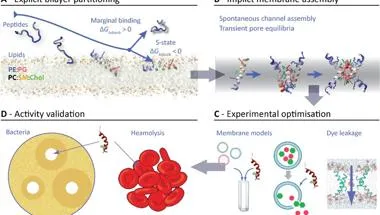 images showing platforms for developing antimicrobial peptides