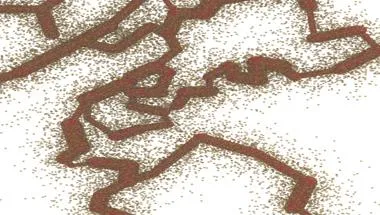 Image showing molecular simulation algorithms