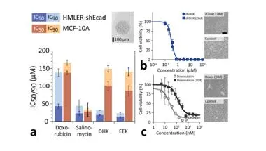 Image displaying Nano-formulated peptide chemotherapies graphs