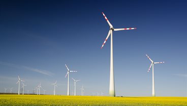 Net zero priorities