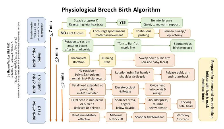 physiological-breech-birth-alogrithm-780x450
