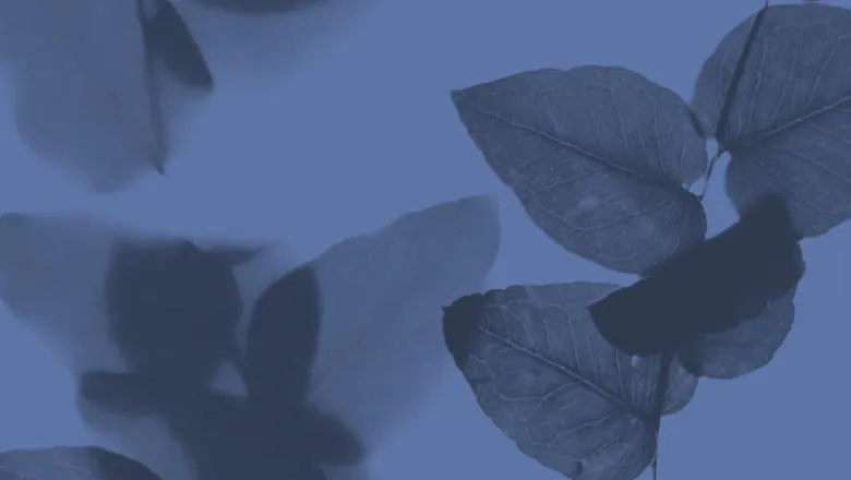 leaf pattern