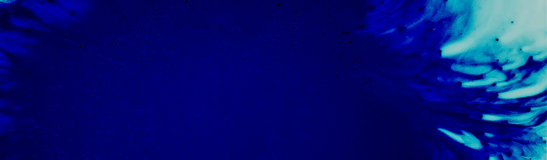 nmpc inaugural banner no logo