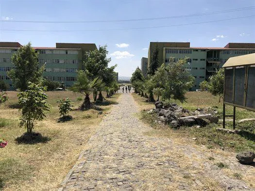  Addis Ababa Science and Technology University (AASTU)