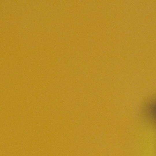 Jasna Milošević | King's College London