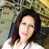 Dr Shazia Bashir PhD, MRPharmS