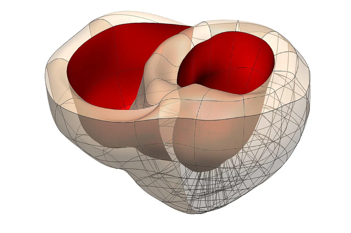 pic-computational-ventricular-chambers