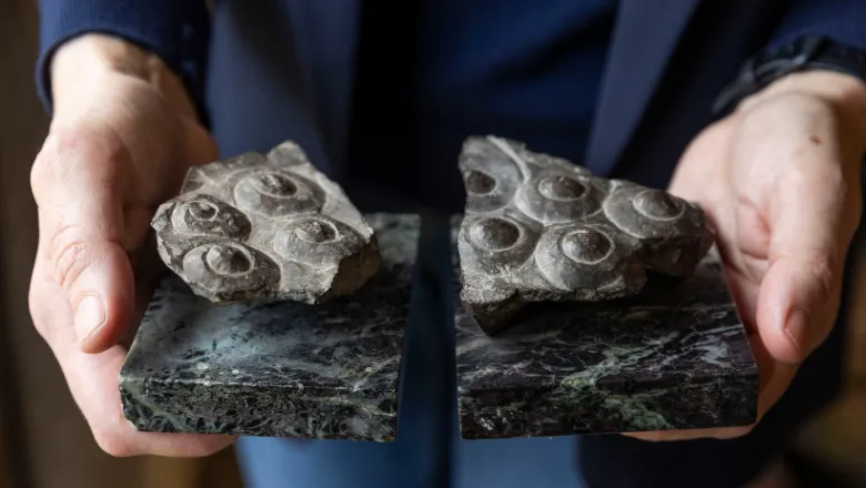 Pieces of sculpture from the ancient palace of Persepolis. ©National Trust Images James Beck