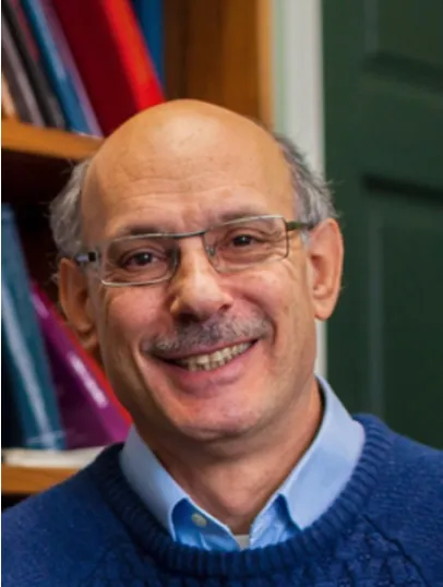 Professor David Nelken
