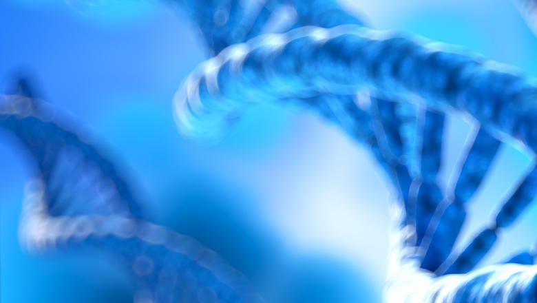King's Genomics