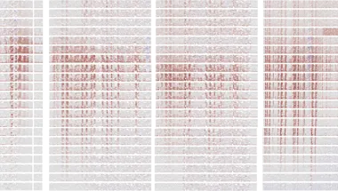 sup_ss_alldata