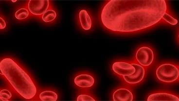 Dark genome cancer biology and bioinformatics